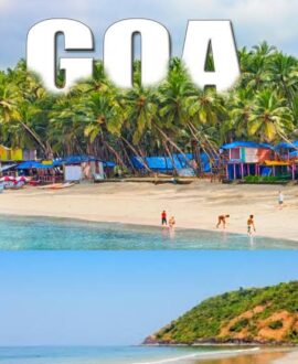 Goa